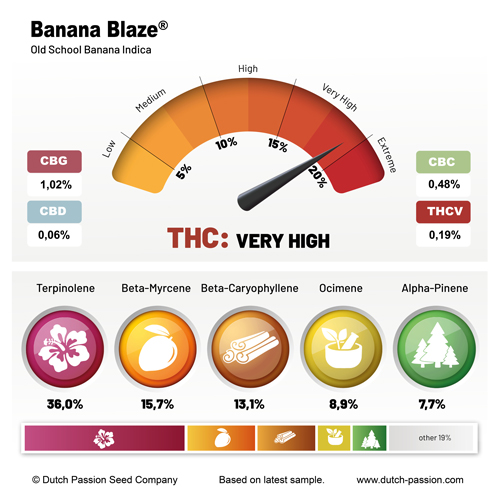 Banana Blaze terps 2024